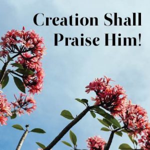 Creation Shall Praise Him!