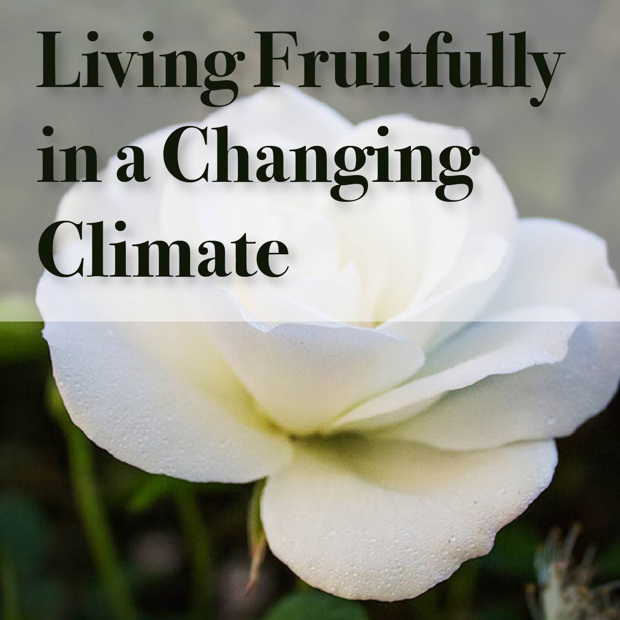 Living Fruitfully in a Changing Climate