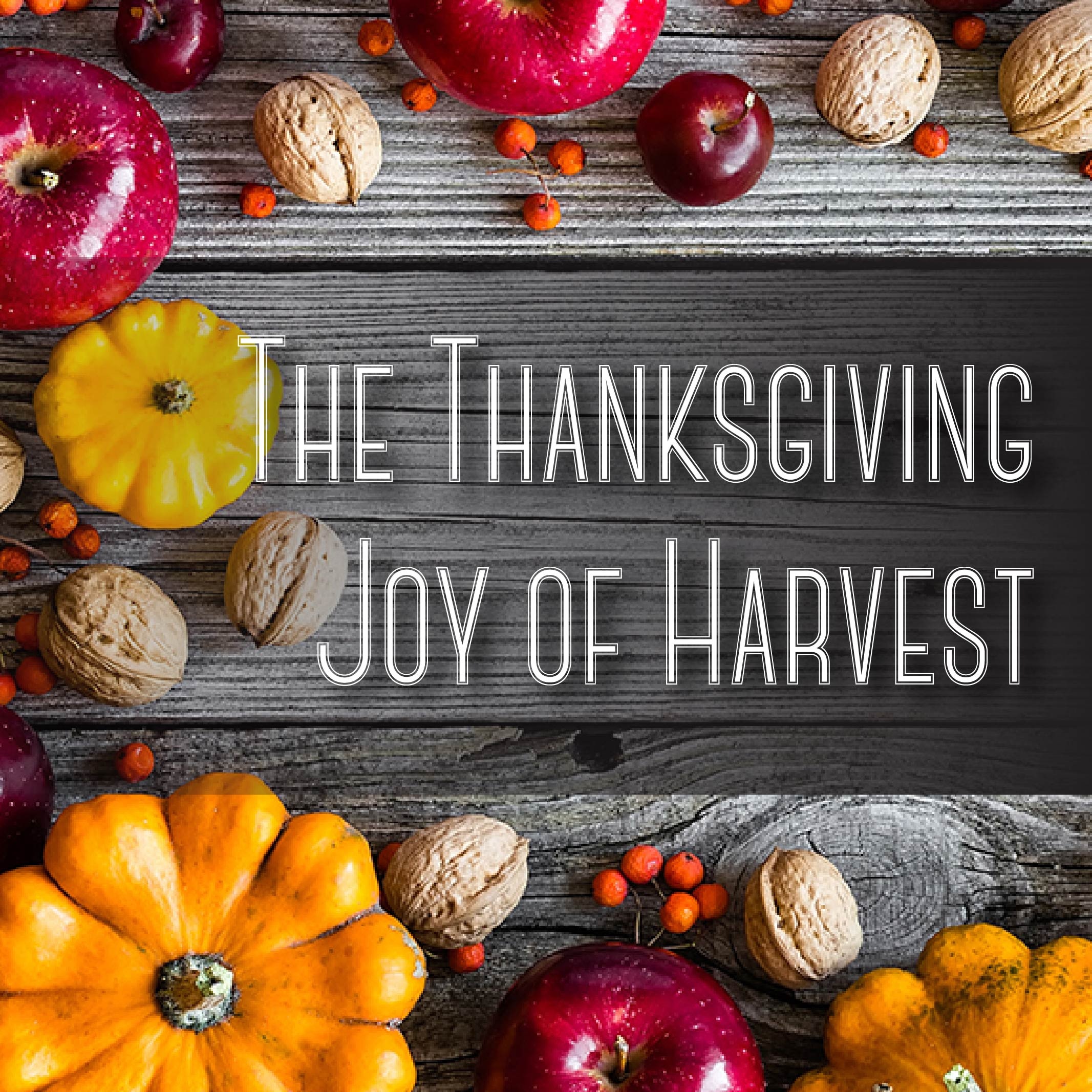 The Thanksgiving Joy of Harvest
