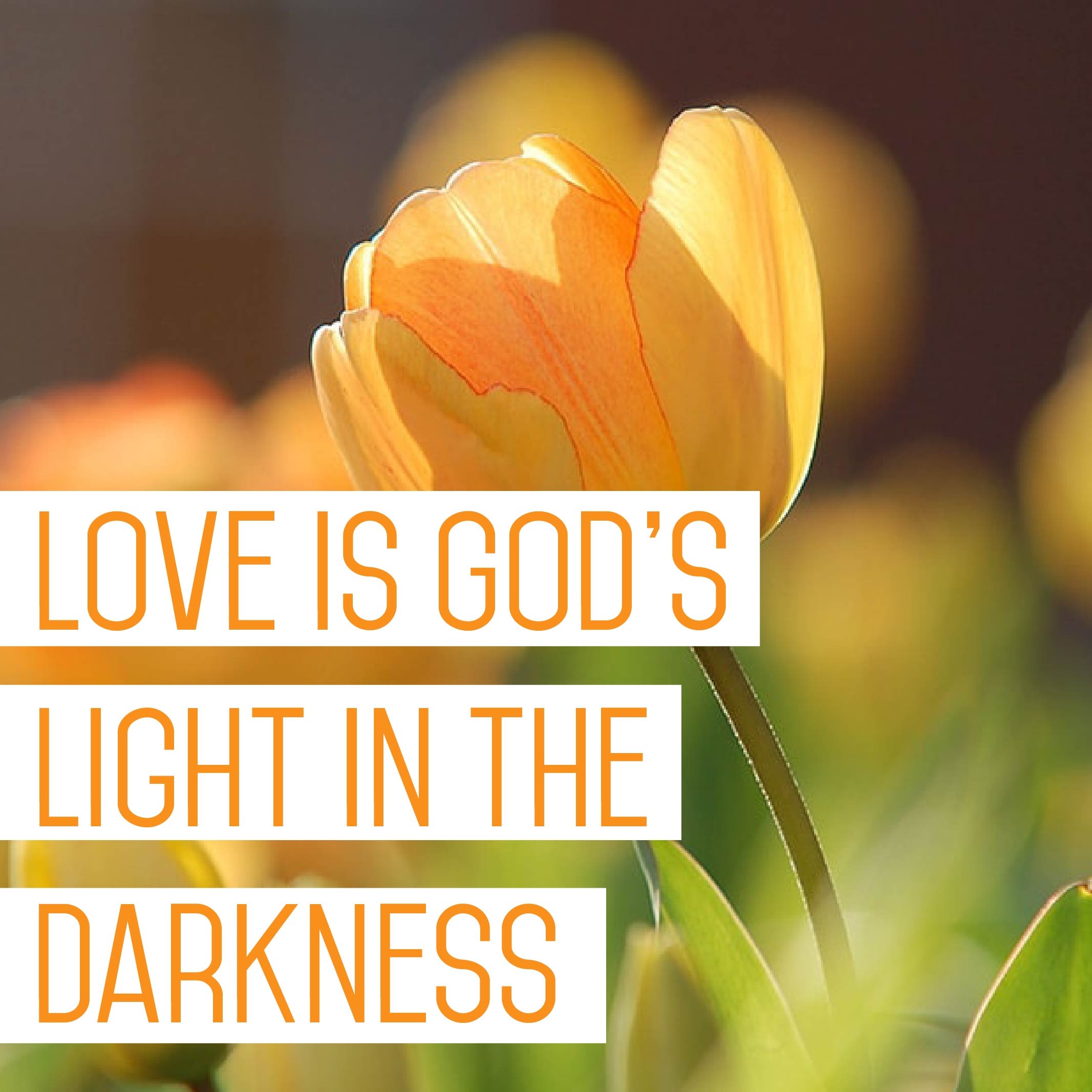 Love Is God’s Light in the Darkness